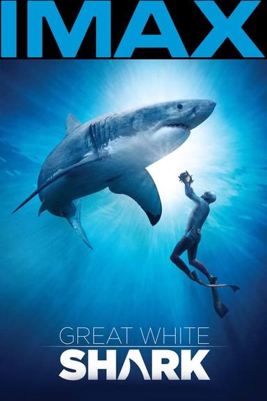 Free subtitles for Great White Shark 2013