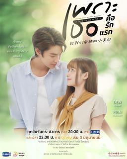 Free subtitles for Because You're My First Love