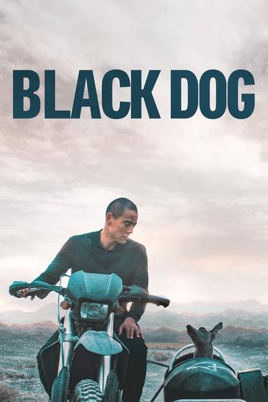 Free subtitles for Black Dog 2024