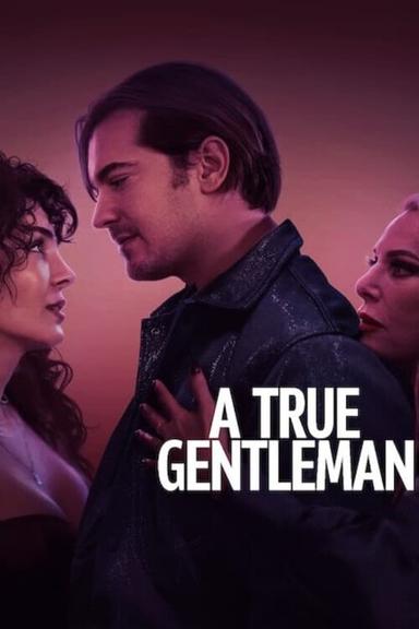 Free subtitles for A True Gentleman (Tam Bir Centilmen) 2024