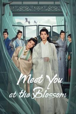 Free subtitles for Meet You at the Blossom