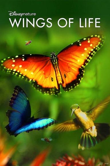 Free subtitles for Disneynature: Wings of Life 2011