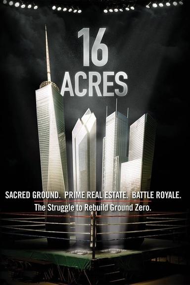 Free subtitles for 16 Acres 2012