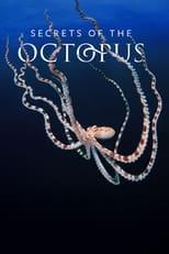 Subtitles for Secrets of the Octopus