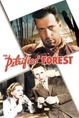 Subtitles for The Petrified Forest