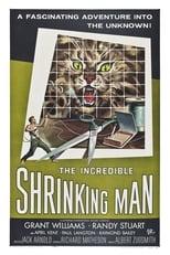 Subtitles for The Incredible Shrinking Man