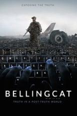 Subtitles for Bellingcat: Truth in a Post-Truth World