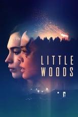 Subtitles for Little Woods