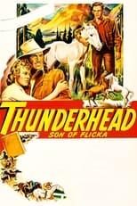 Subtitles for Thunderhead: Son of Flicka